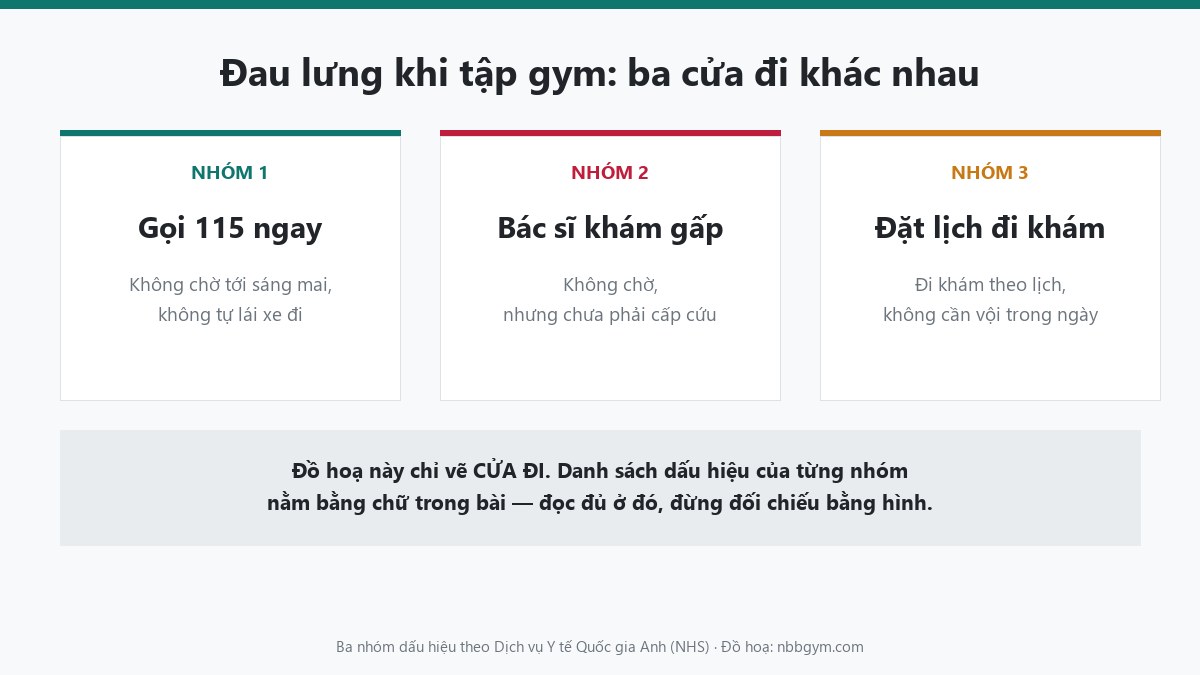 Đồ hoạ ba cửa đi khi đau lưng khi tập gym: gọi 115, bác sĩ khám gấp, đặt lịch khám