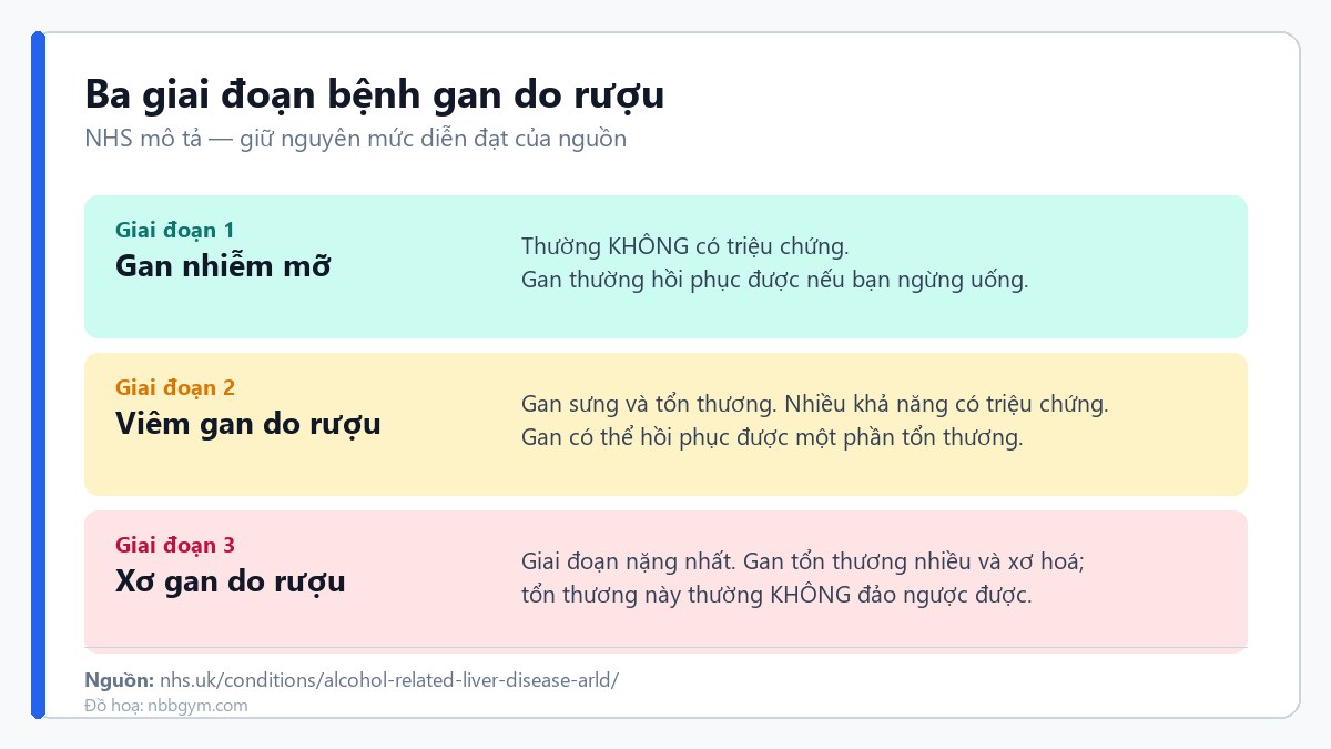 Ba giai đoạn bệnh gan do rượu theo NHS: gan nhiễm mỡ, viêm gan do rượu, xơ gan do rượu