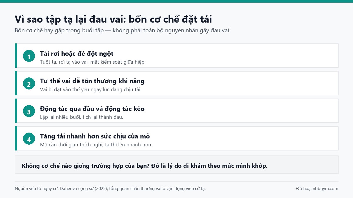 Đồ hoạ bốn cơ chế đặt tải lên khớp vai khi tập tạ: tải rơi đột ngột, tư thế vai dễ tổn thương, động tác qua đầu lặp lại, tăng tải quá nhanh