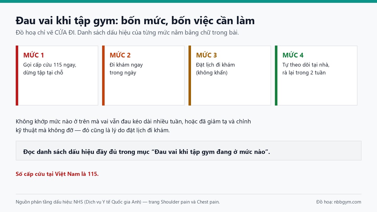 Sơ đồ bốn mức khẩn khi đau vai lúc tập gym: gọi cấp cứu 115, đi khám ngay trong ngày, đặt lịch khám, tự theo dõi tại nhà