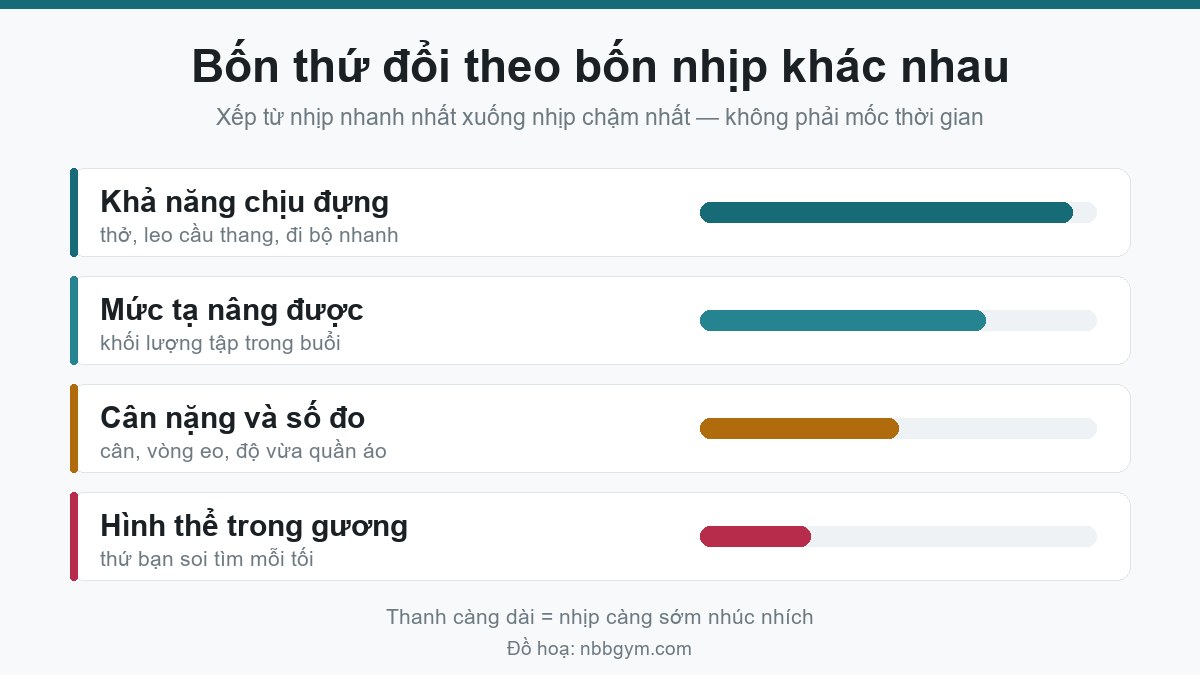 Đồ hoạ bốn nhịp thay đổi khi tập gym: khả năng chịu đựng, mức tạ, cân nặng và số đo, hình thể trong gương