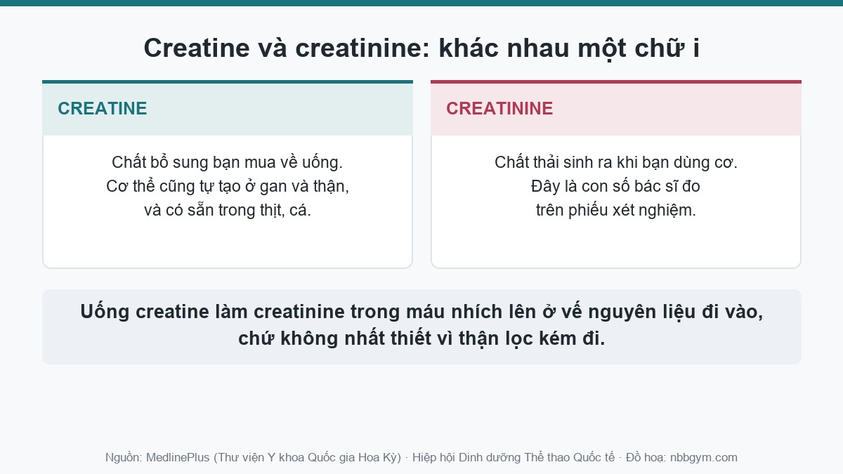 So sánh hai chữ creatine và creatinine, khác nhau một chữ i