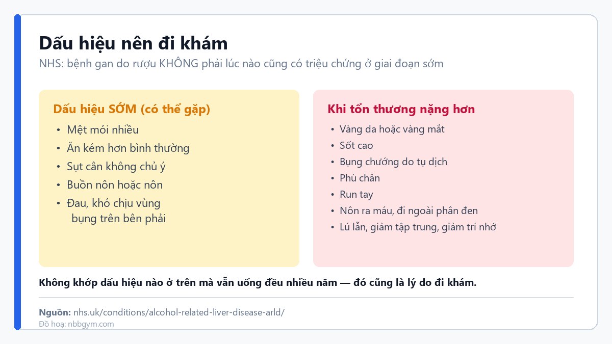 Dấu hiệu sớm và dấu hiệu nặng của bệnh gan do rượu theo NHS, kèm nhóm chưa có triệu chứng