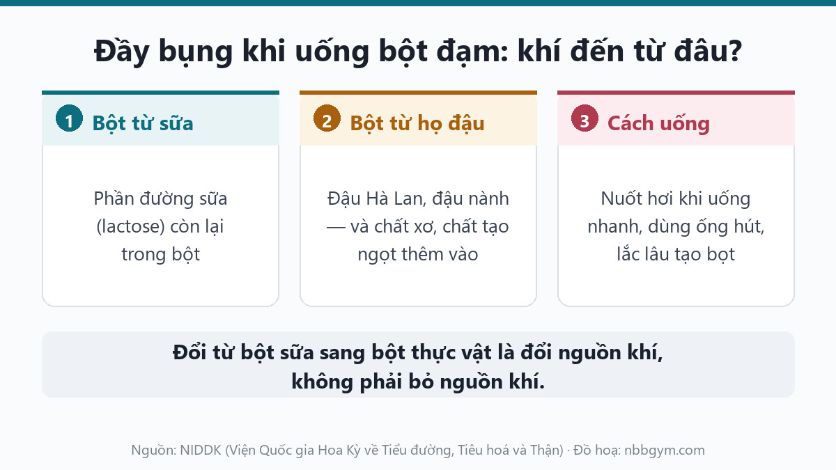 Ba nguồn sinh khí khi uống bột đạm: đường sữa trong bột từ sữa, họ đậu và phụ liệu trong bột thực vật, và cách uống
