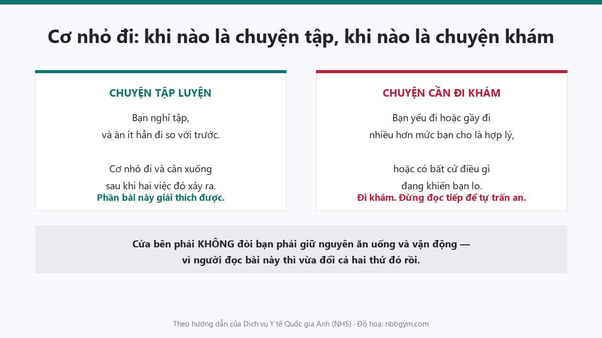 Đồ hoạ hai nhánh: cơ nhỏ đi sau khi nghỉ tập và ăn ít là chuyện tập luyện; yếu đi hoặc gầy đi hơn mức hợp lý là lý do đi khám