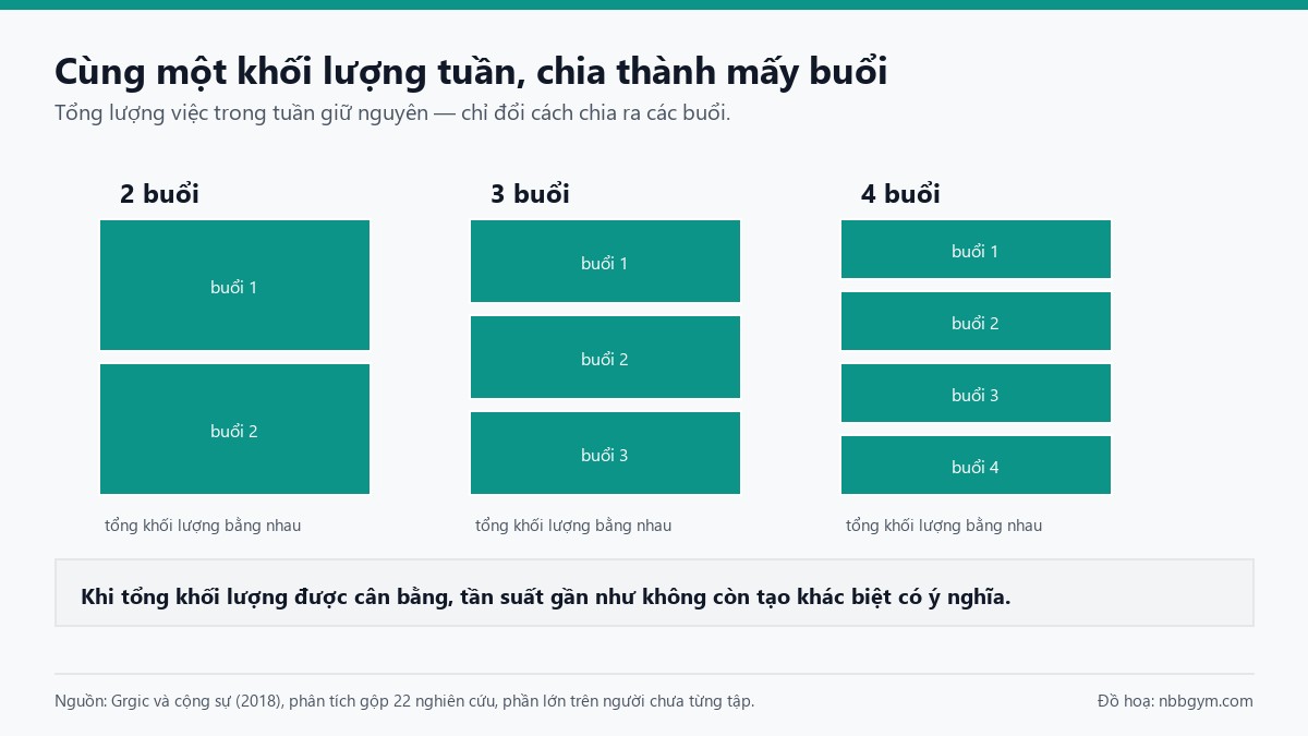 Đồ hoạ so sánh cùng một tổng khối lượng tập trong tuần chia thành 2, 3 hoặc 4 buổi