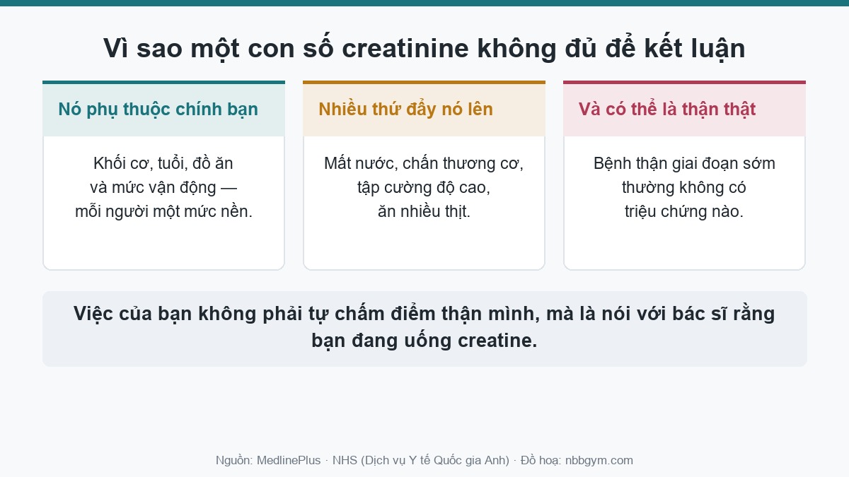 Ba lý do khiến một con số creatinine đơn lẻ không đủ để kết luận về thận