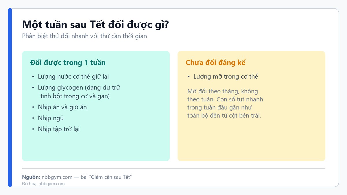Một tuần sau Tết đổi được nước và glycogen, nhịp ăn ngủ tập; lượng mỡ chưa đổi đáng kể