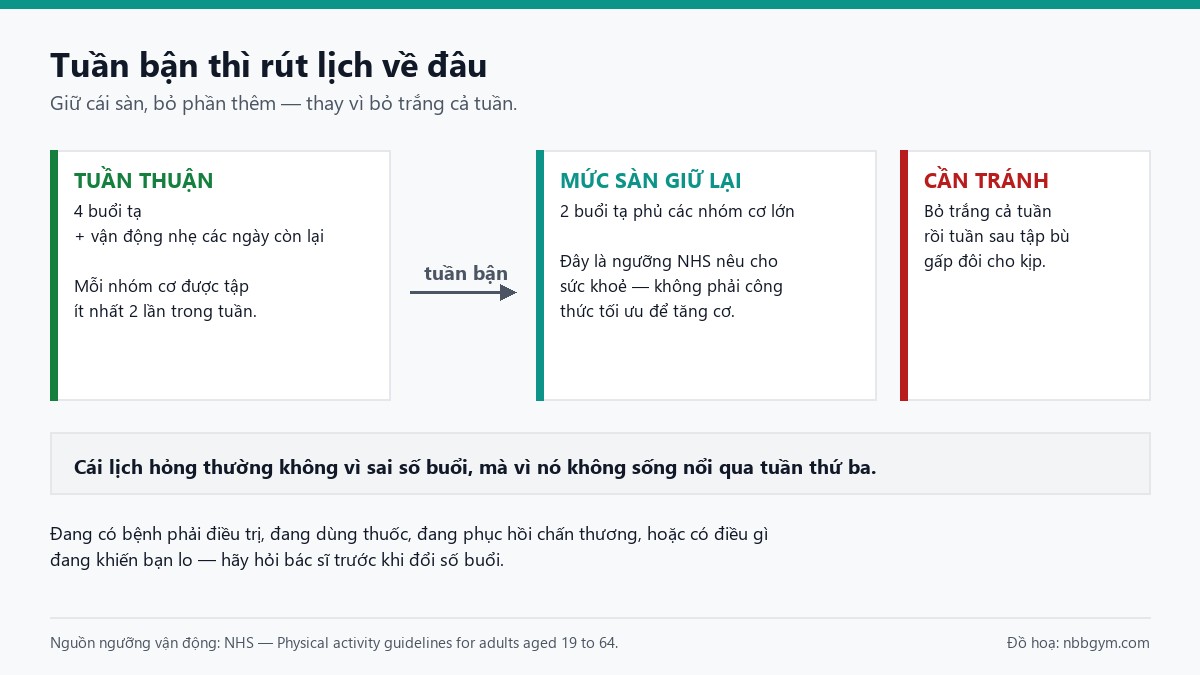 Đồ hoạ chỉ cách rút lịch tập khi vào tuần bận: giữ mức sàn hai buổi thay vì bỏ trắng cả tuần