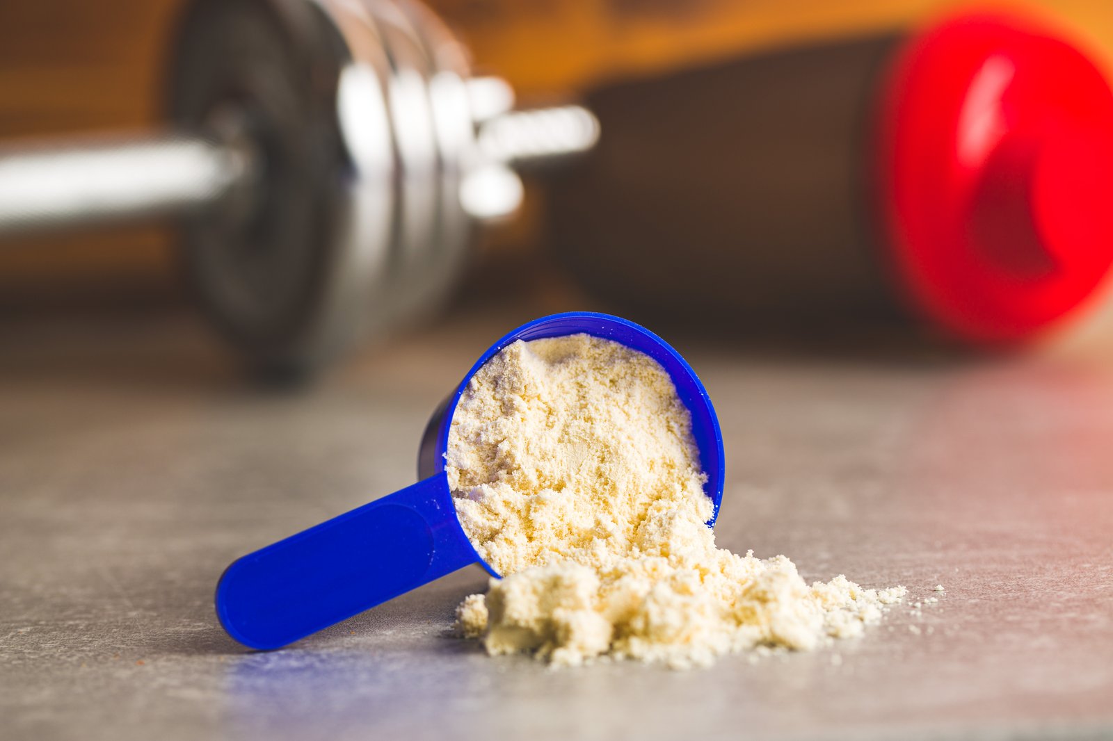 Bột whey protein — phần đạm tách ra từ sữa bò trong quá trình làm phô mai