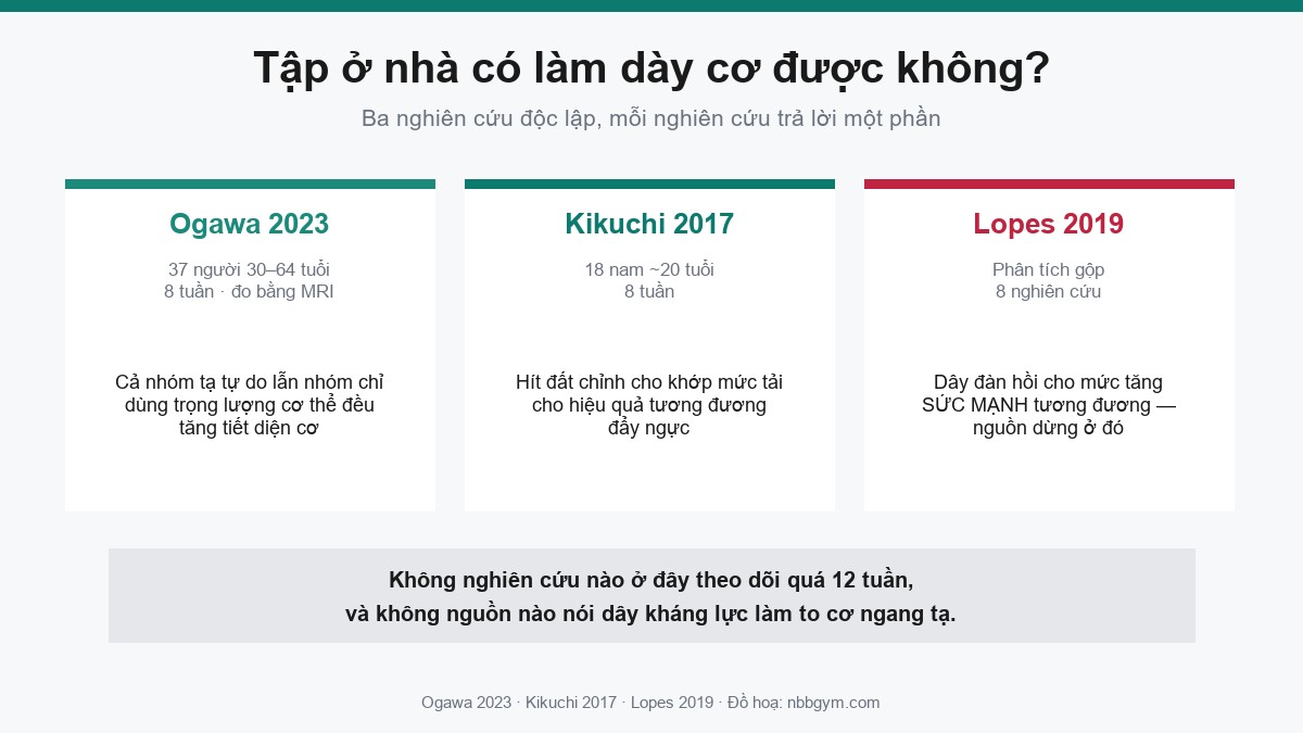 Đồ hoạ ba nghiên cứu về tập tại nhà: Ogawa 2023, Kikuchi 2017, Lopes 2019