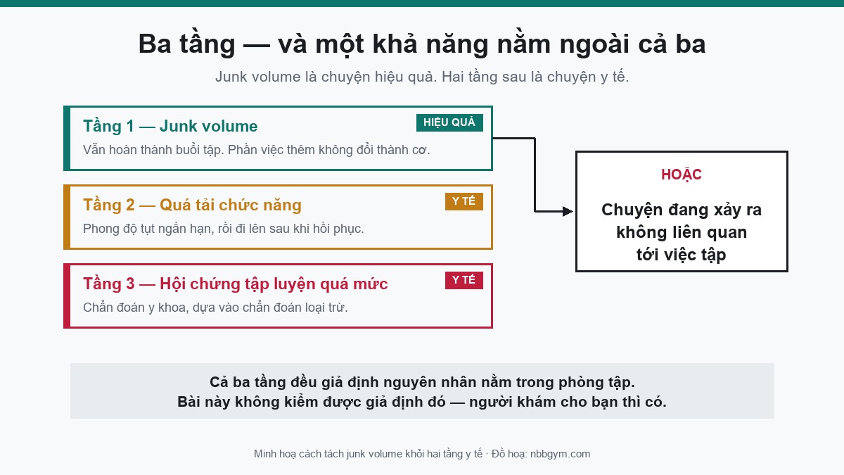 Đồ hoạ ba tầng: junk volume là chuyện hiệu quả, quá tải chức năng và hội chứng tập luyện quá mức là chuyện y tế, kèm nhánh thứ tư nằm ngoài trục tập luyện