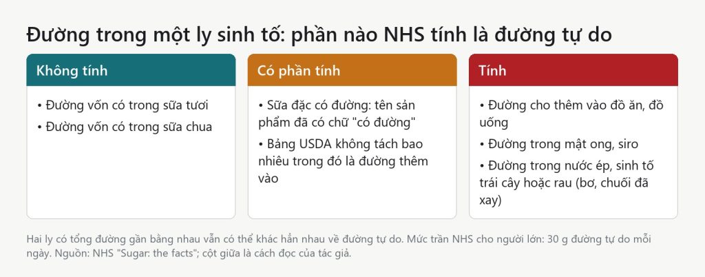 Đồ hoạ đường trong ly sinh tố: phần NHS không tính, có phần tính và tính là đường tự do