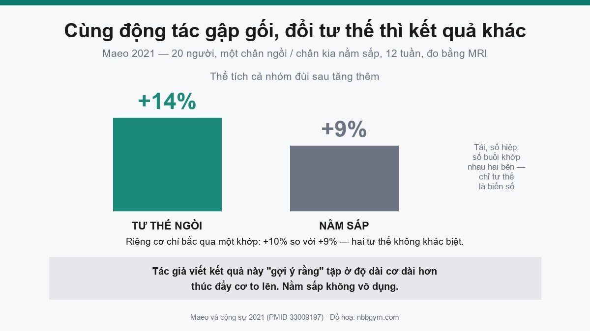 Đồ hoạ so sánh gập gối tư thế ngồi và nằm sấp theo nghiên cứu Maeo 2021