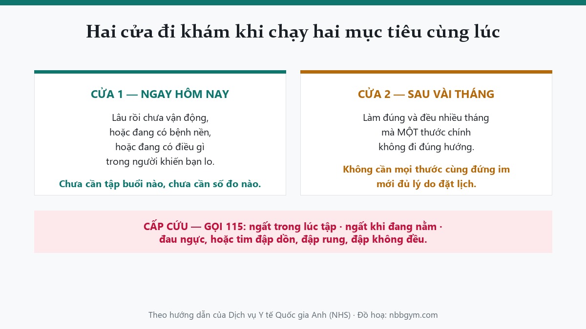 Đồ hoạ hai cửa nên đi khám và nhóm dấu hiệu cần cấp cứu