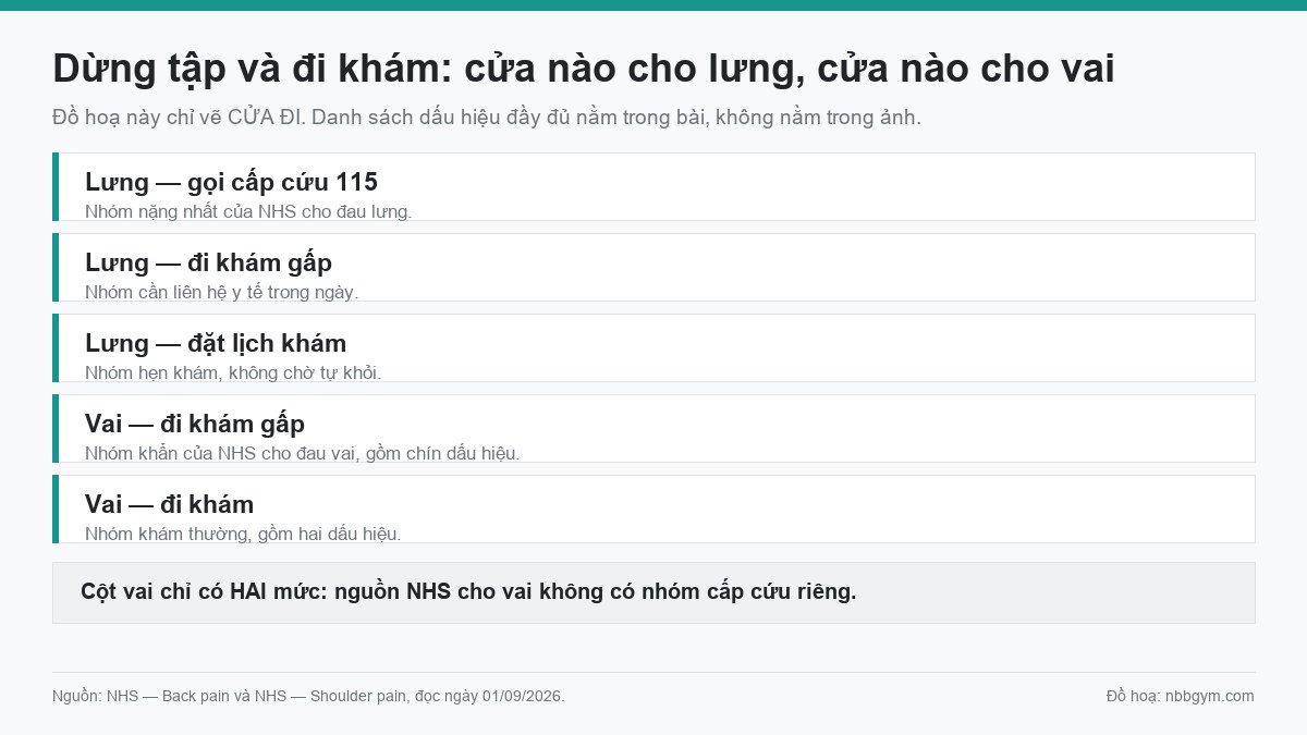 Đồ hoạ các mức khẩn khi đau lưng và khi đau vai, dẫn nguồn từ NHS