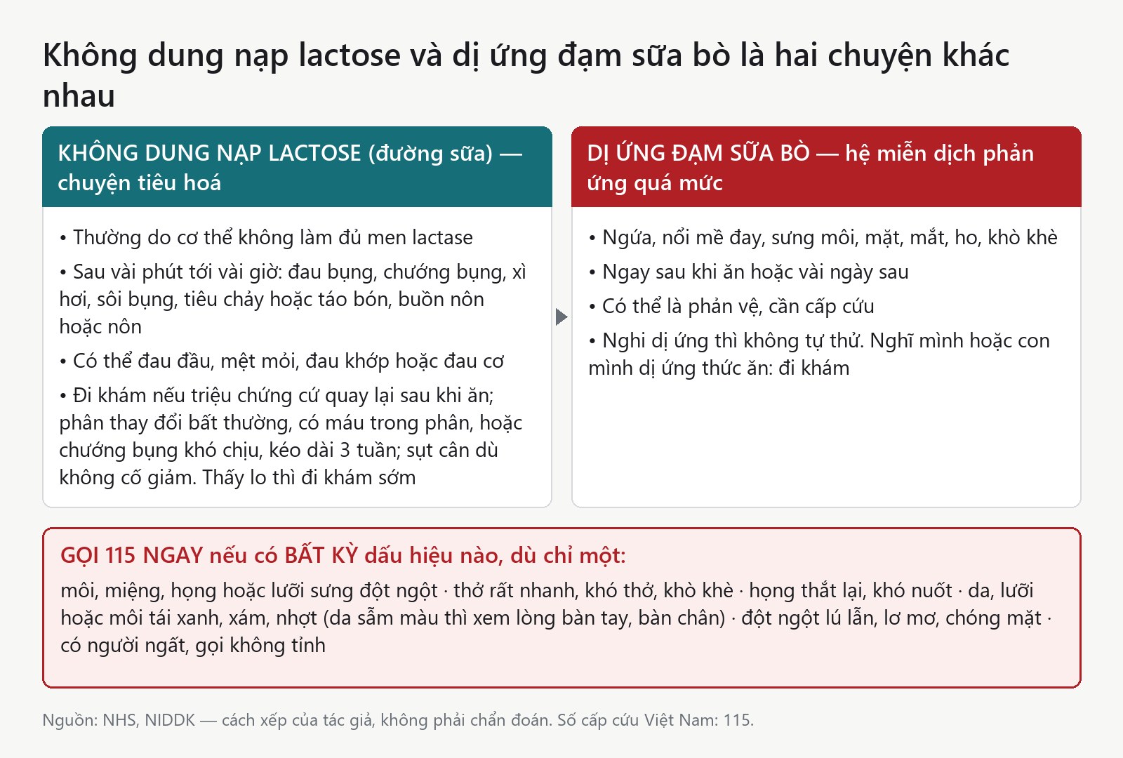 Đồ hoạ phân biệt không dung nạp lactose với dị ứng đạm sữa bò, kèm các dấu hiệu cần gọi 115
