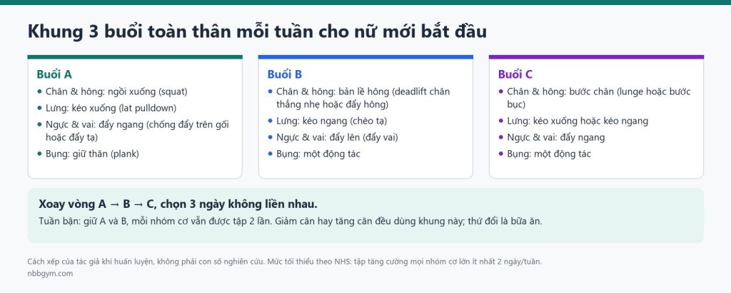 Đồ hoạ khung 3 buổi toàn thân A, B, C mỗi tuần cho nữ mới bắt đầu tập gym