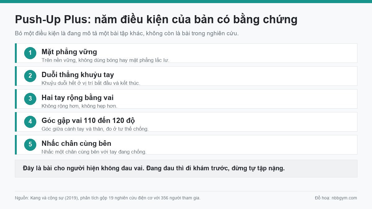 Đồ hoạ năm điều kiện của bài Push-Up Plus theo phân tích gộp 19 nghiên cứu điện cơ