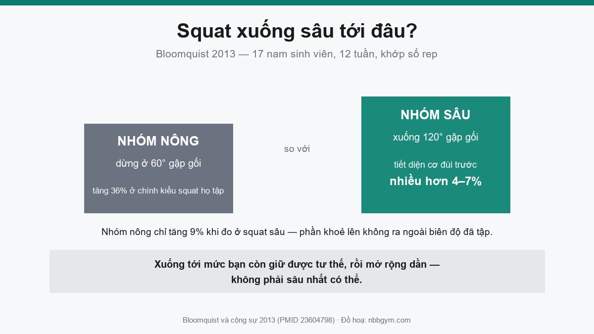 Đồ hoạ so sánh squat sâu 120 độ và squat nông 60 độ theo nghiên cứu Bloomquist 2013